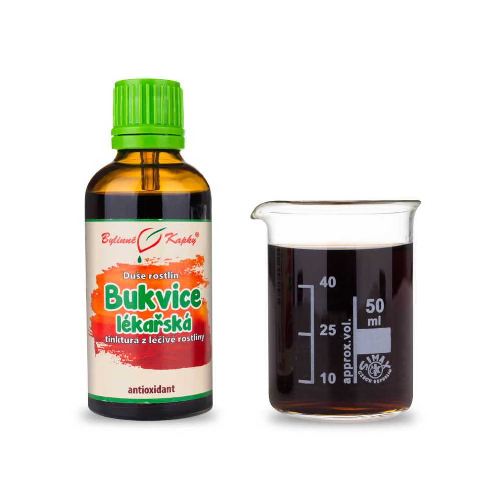 Bukvice lékařská - Duše rostlin tinktura 50 ml - Bylinné Kapky