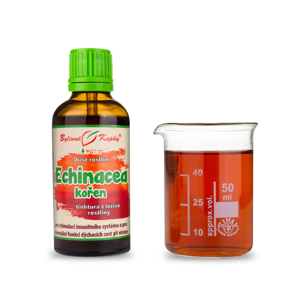 Echinacea kořen - Duše rostlin tinktura 50 ml - Bylinné Kapky