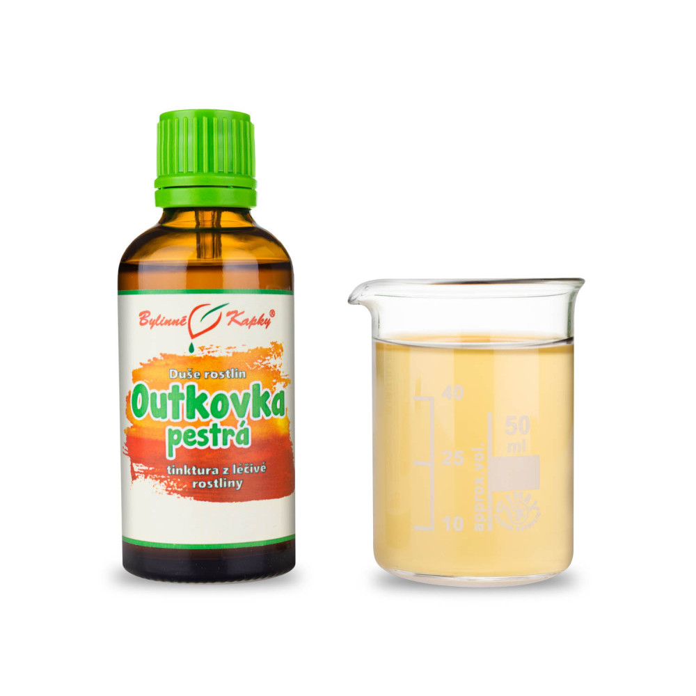 Outkovka pestrá  - Duše rostlin tinktura 50 ml - Bylinné Kapky