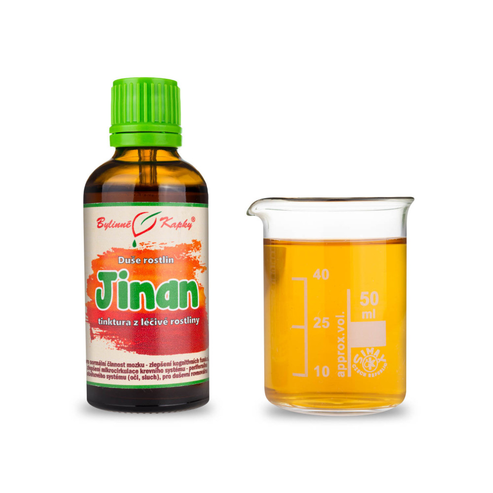 Jinan list (Ginkgo) - Duše rostlin tinktura 50 ml - Bylinné Kapky