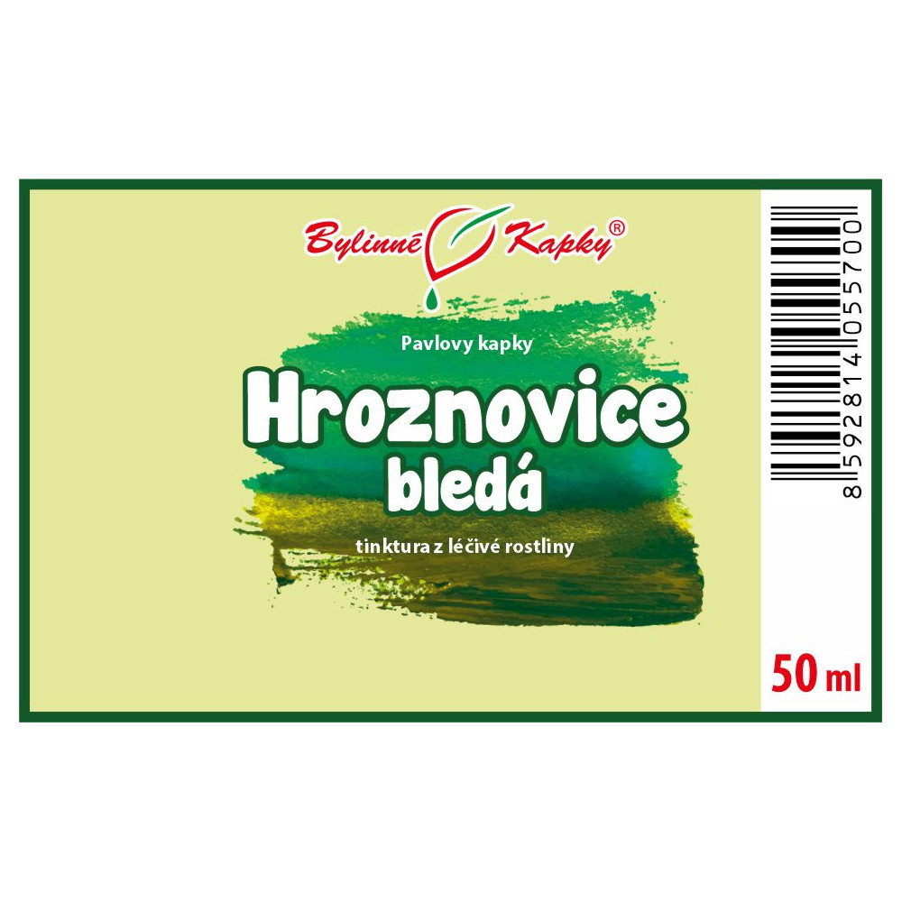 Hroznovice bledá tinktura 50 ml - Bylinné Kapky