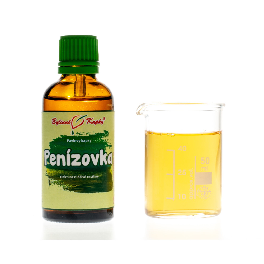 Penízovka tinktura 50 ml - Bylinné Kapky