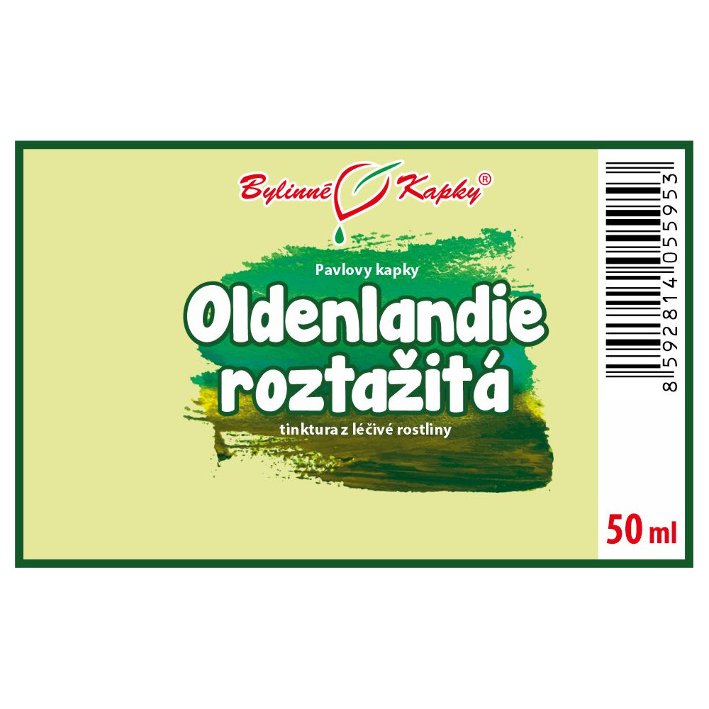 Oldenlandie roztažitá tinktura 50 ml - Bylinné Kapky
