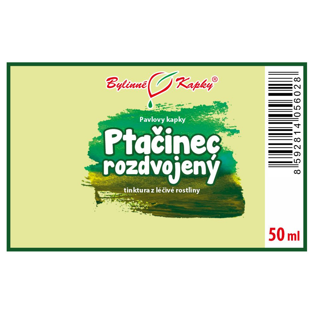 Ptačinec rozdvojený tinktura 50 ml - Bylinné Kapky