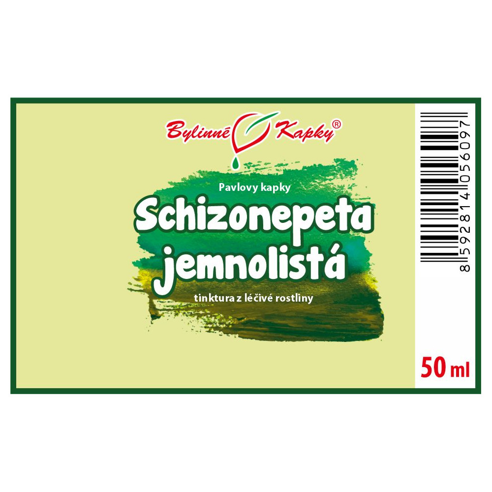 Schizonepeta jemnolistá tinktura 50 ml - Bylinné Kapky