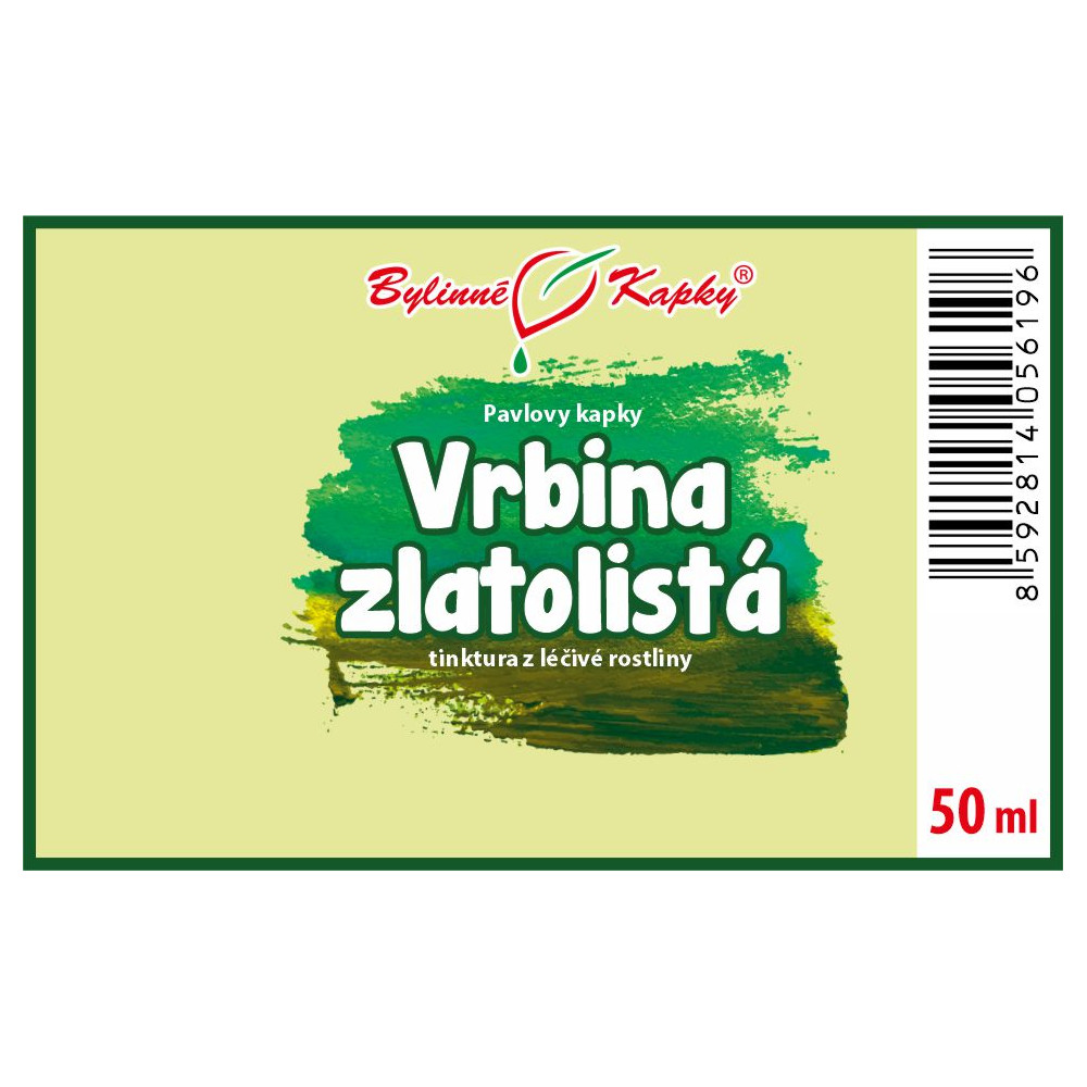 Vrbina zlatolistá tinktura 50 ml - Bylinné Kapky