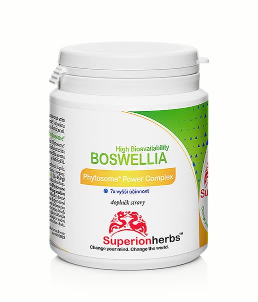 Boswellia Phytosome® 90 kapsl. - Superionherbs