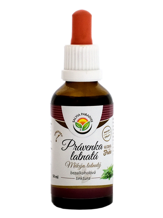 Právenka latnatá AF tinktura 50ml - Salvia Paradise