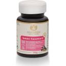 Golden Transition 2  60 tobol - Maharishi Ayurveda